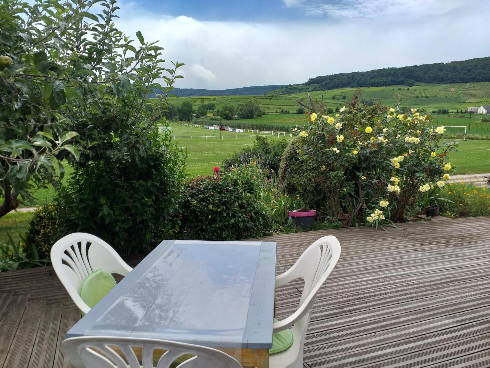 Appartement Chez Le Vigneron à Westhalten Extérieur photo